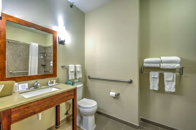 جناح لذوي الإعاقة، Comfort Suites Tomball Medical Center, TX 4/6