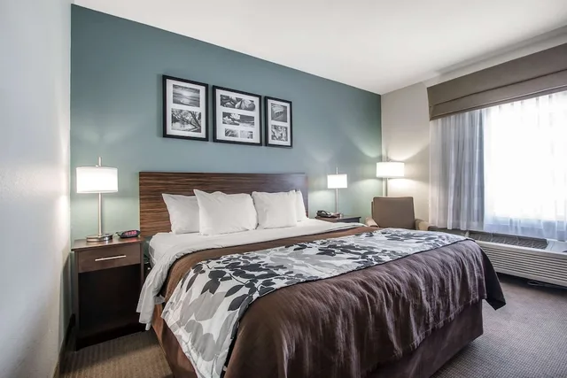 غرفة بسرير كينج لذوي الإعاقة، Sleep Inn & Suites Meridian - Bonita Lakes 1/2