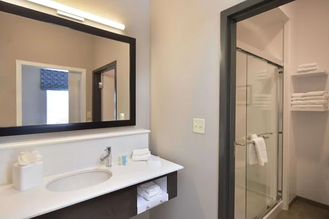 غرفة بسرير كينج لذوي الإعاقة، Hampton Inn Suites Wisconsin Dells Lake Delton 5/5
