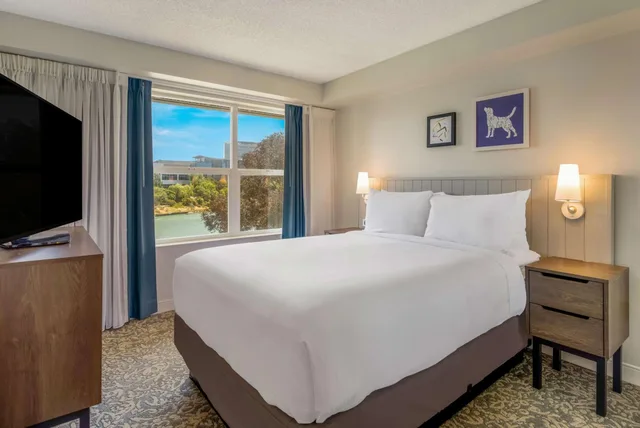 جناح بسريرين كوين بغرفتي نوم لذوي الإعاقة، Sonesta Es Suites San Francisco Airport Oyster Point Waterfront 3/6