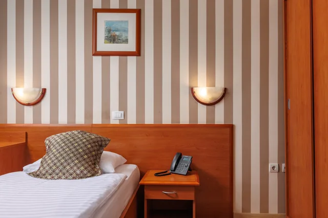 غرفة سوبيريور مفردة، Hotel Neboder 3/4