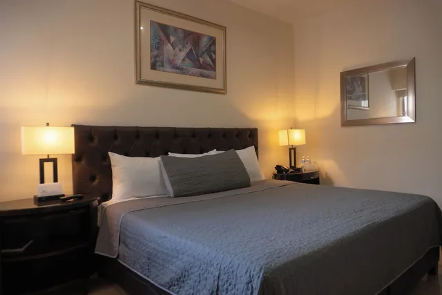 غرفة قياسية بسرير كينج، Hotel America Centro 3/10