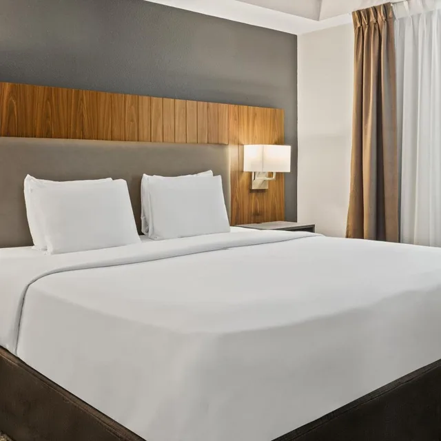 Efficiency, Superior, King Bed، Country Inn And Suites By Radisson Winnipeg Mb 4/8