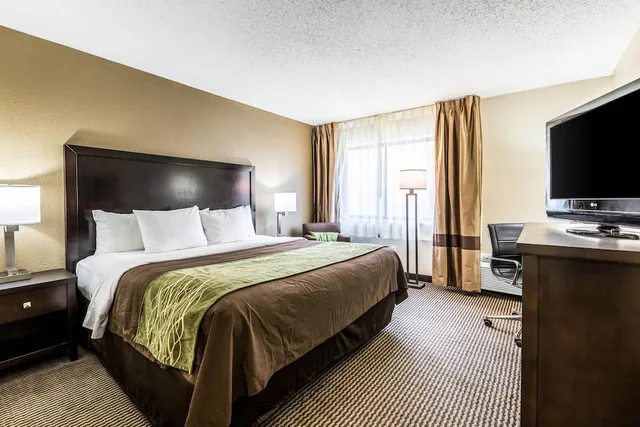 غرفة قياسية بسرير كينج بحوض جاكوزي، Comfort Inn Downtown Detroit MI 5/9