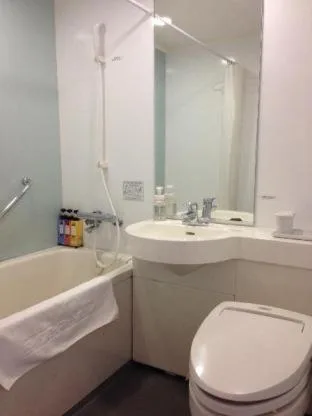 غرفة، Daiwa Roynet Hotel Tsukuba 4/4