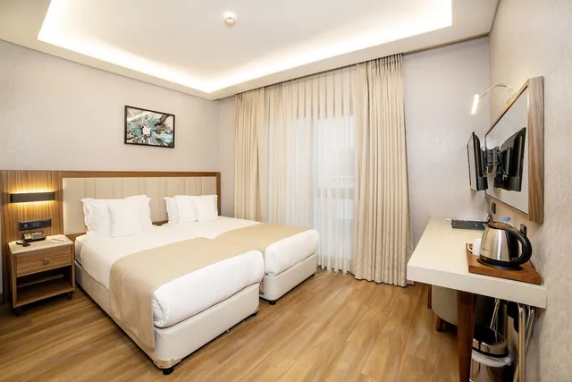غرفة قياسية بسرير مزدوج أو سريرين منفصلين، Erboy Hotel Istanbul 9/10