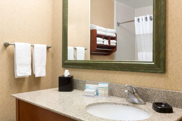 غرفة بسرير كينج، Hampton Inn Houston-Willowbrook Mall 3/3