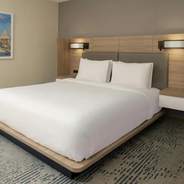 جناح بسرير كينج مع أريكة بحوض استحمام لذوي الإعاقة، SpringHill Suites by Marriott New Orleans Warehouse Arts District 2/10