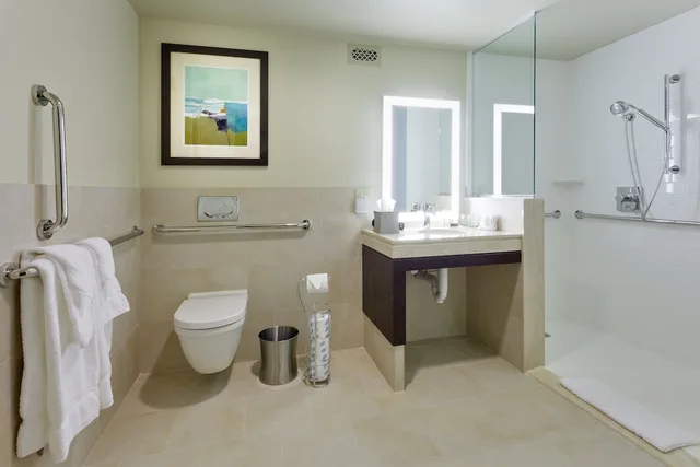 غرفة قياسية بسرير كينج لذوي الإعاقة، Hotel Indigo Long Island - East End 4/4