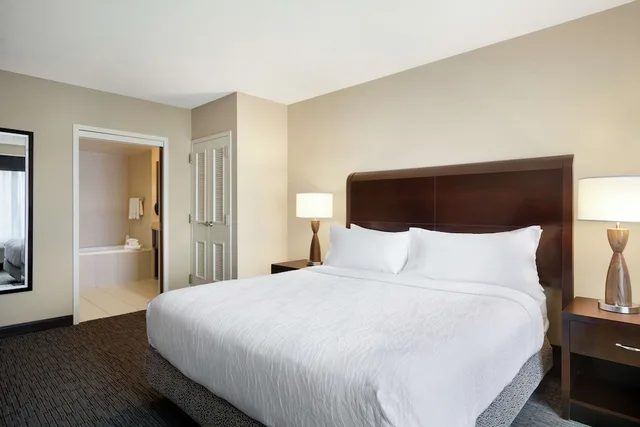 جناح ديلوكس بسرير كينج بغرفة نوم واحدة، Hilton Garden Inn Atlanta Downtown 5/10