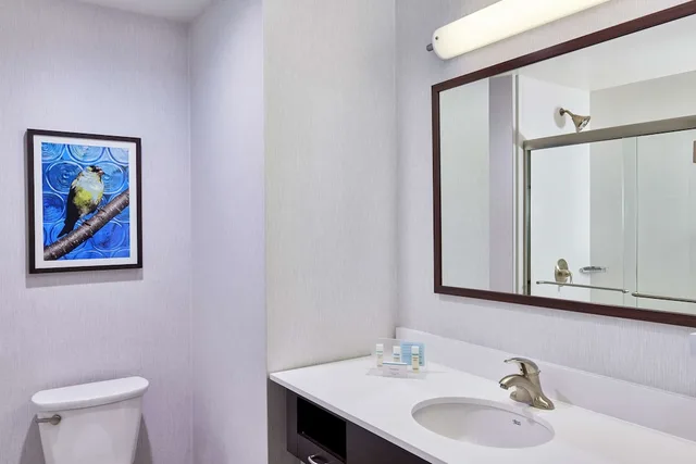 استوديو بسرير كينج مع أريكة لذوي الإعاقة، Hampton Inn and Suites Teaneck Glenpointe, NJ 3/4