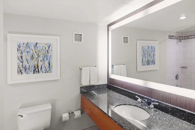 غرفة بسرير مزدوج بإطلالة على الجبل، Hilton Salt Lake City Center 3/4