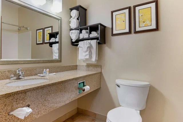 جناح بسرير كينج بحوض جاكوزي، Holiday Inn Express & Suites Southfield - Detroit 5/8
