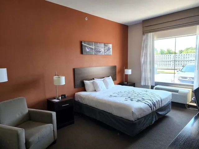 غرفة قياسية بسرير كينج، Sleep Inn & Suites Dyersburg I-155 1/7