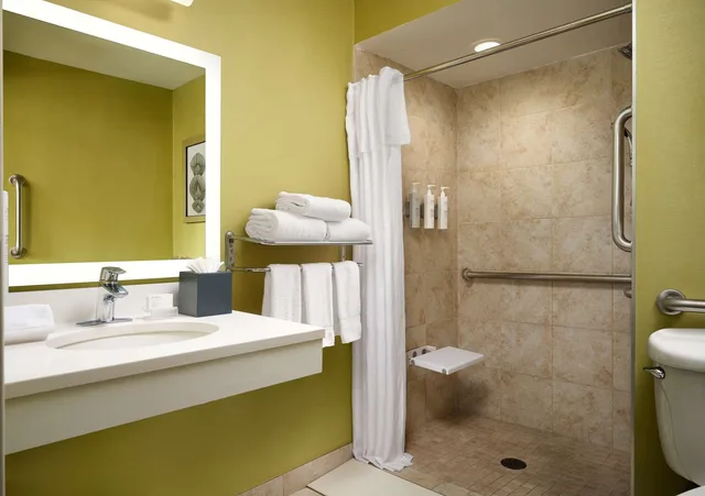جناح استوديو بسرير كينج مع أريكة لذوي الإعاقة، Homewood Suites By Hilton Chicago Downtown/Magnificent Mile 2/2