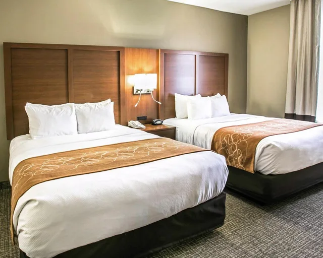 جناح بسرير كينج مع أريكة، Comfort Suites Houston NW - Vintage Park 3/7