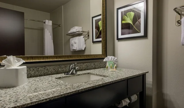 غرفة قياسية، Holiday Inn Austin Airport 2/2