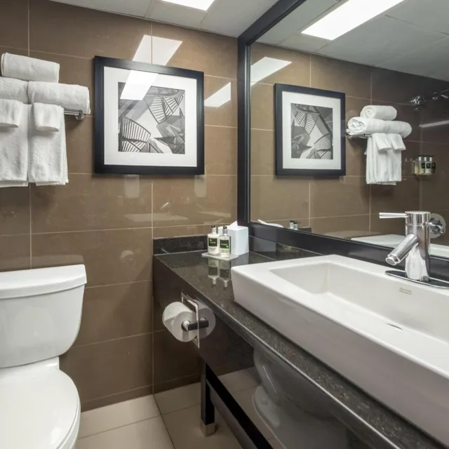 غرفة ديلوكس بسرير كينج، Village Park Inn Calgary 5/5