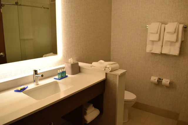 غرفة قياسية بسرير كينج لذوي الإعاقة، Holiday Inn Express And Suites Boston South Randolph 2/2