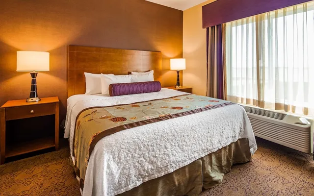 غرفة قياسية بسرير كينج، Best Western Plus Carousel Inn & Suites 2/4