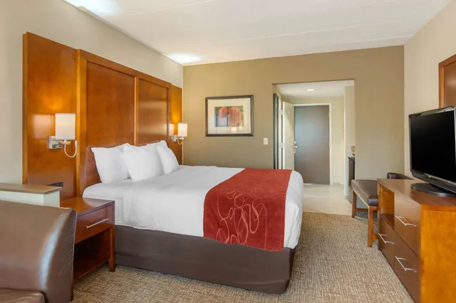 جناح استوديو بسرير كينج مع أريكة لذوي الإعاقة، Comfort Suites South Park 9/10
