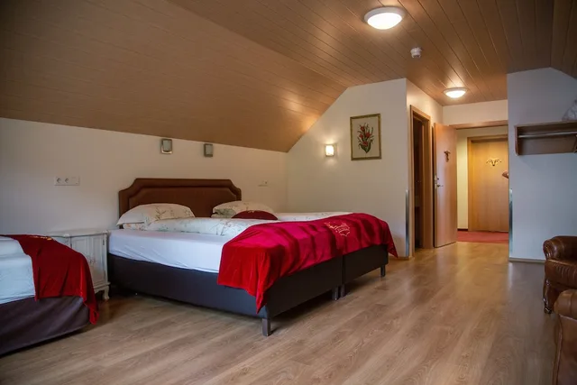 غرفة ديلوكس بسرير مزدوج، Hotel Smyrlabjorg 1/2