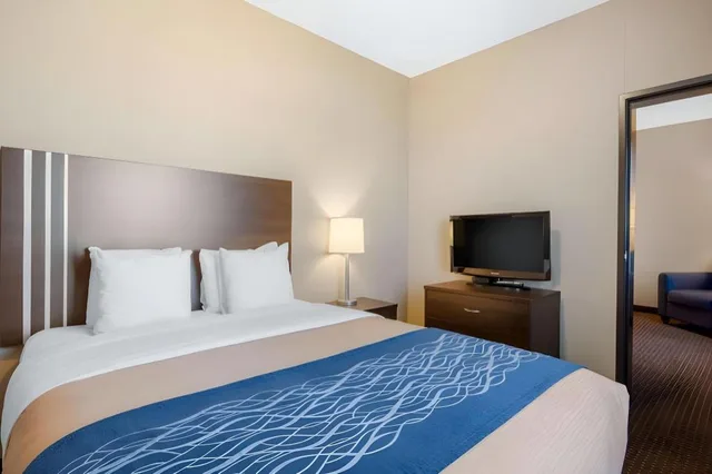 جناح بسرير كينج وسرير كوين، Comfort Inn & Suites Virden MB 1/9