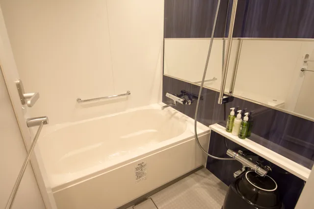 غرفة قياسية مفردة بسرير مزدوج، Hotel Gracery Kyoto Sanjo 3/3