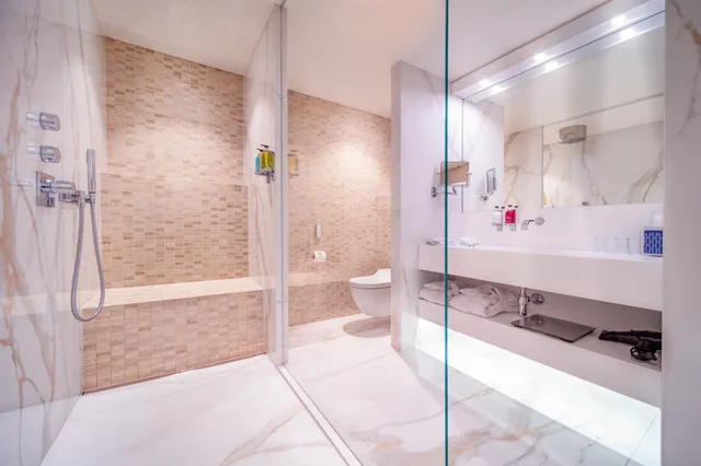 غرفة ديلوكس مفردة بسرير مزدوج، Hotel Bristol Geneva 3/3