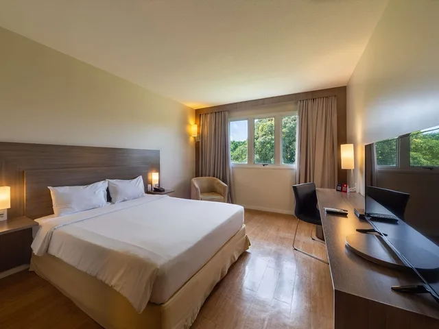 Superior, Double Bed, Sofa, Novotel Manaus 6/10