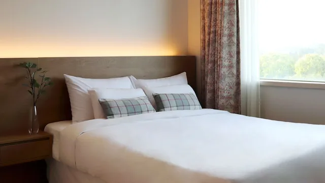 Deluxe, Suite, 2 Double Beds, Pool Access، Bloom Hotel 2/4