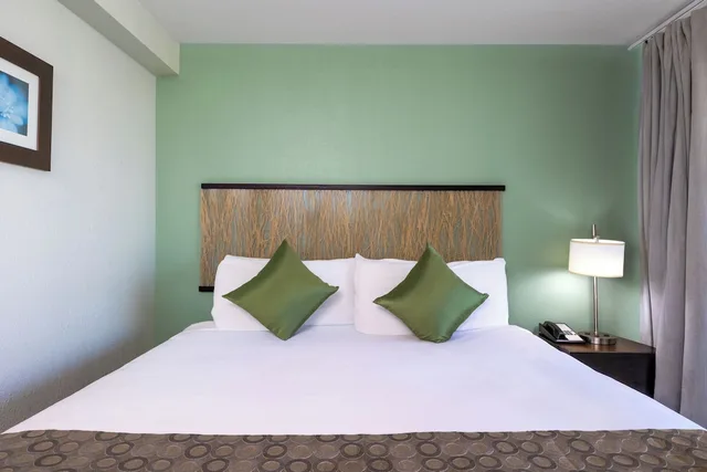 جناح بسرير كينج بإطلالة على المدينة بغرفة نوم واحدة، Skyline Island Colony Hotel 1/10