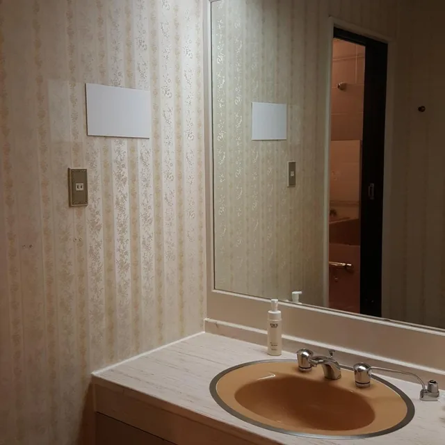 غرفة اقتصادية بسرير مزدوج، Royal Hotel Shinokubo 4/4