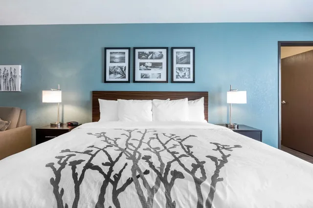جناح بسرير كينج مع أريكة لذوي الإعاقة، Sleep Inn & Suites West Des Moines near Jordan Creek 2/3