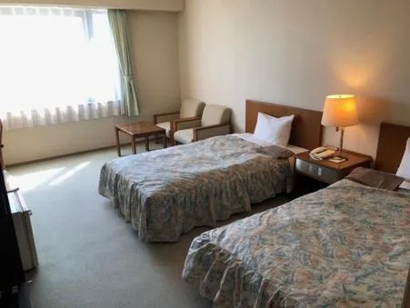 Standard, Twin Beds, Sky Hotel 1/1