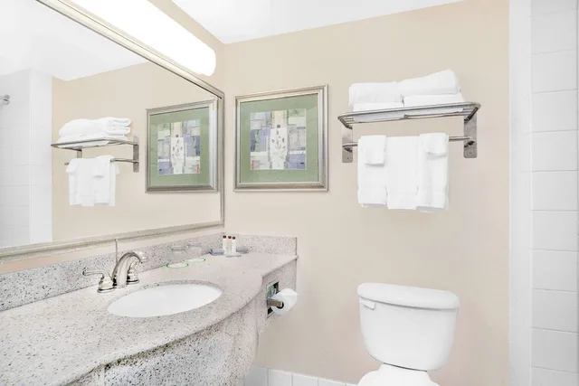 Suite, King Bed, Wingate By Wyndham Ellicottville 2/3