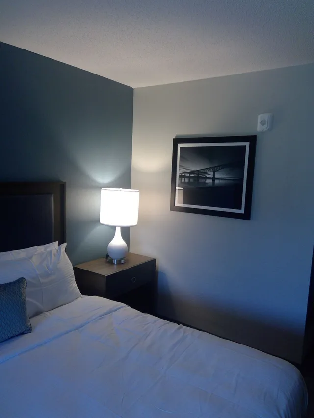 غرفة قياسية بسرير كينج لذوي الإعاقة، SureStay Plus Hotel by Best Western Highland Poughkeepsie 3/9