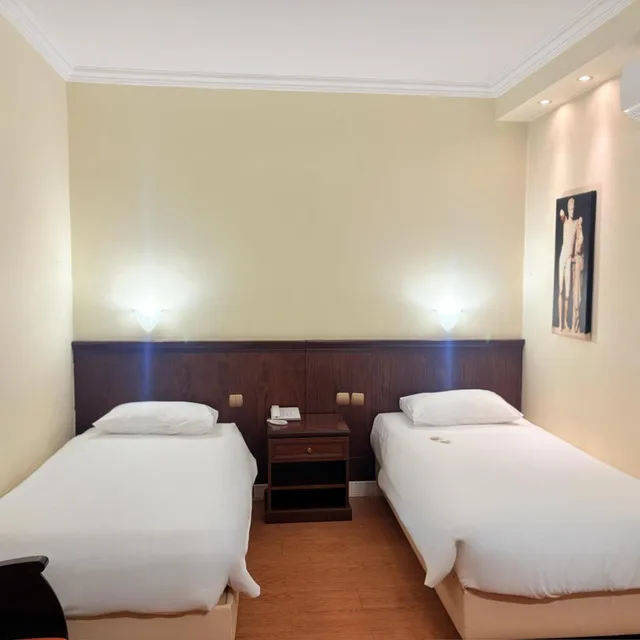 غرفة بسريرين منفصلين لذوي الإعاقة، Capsis Hotel Thessaloniki 2/10