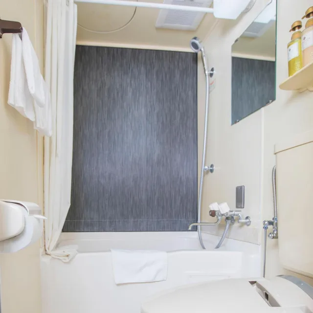 غرفة مفردة للمدخنين، Flexstay Inn Shinagawa 8/18