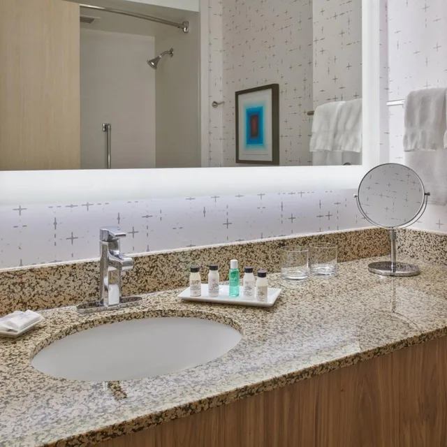 غرفة بسرير كينج مع أريكة، Delta Hotels by Marriott Detroit Novi 5/14