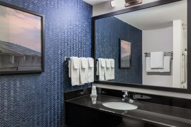 جناح بسرير كينج مع أريكة لذوي الإعاقة، Fairfield Inn Suites Smithfield 3/4