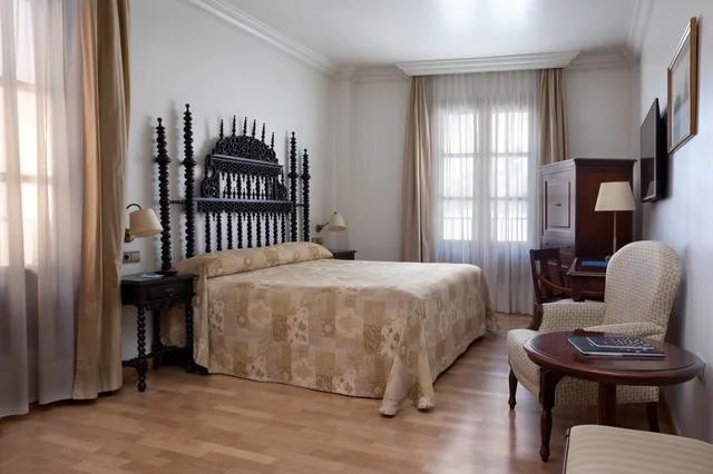 غرفة قياسية مفردة بسرير مزدوج، Hotel Sercotel Palacio de Los Gamboa 1/3