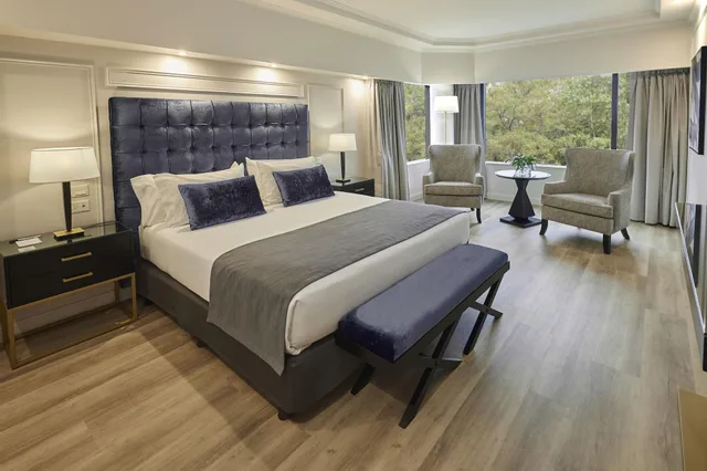 جناح ركني تنفيذي، Hotel Emperador Buenos Aires 1/4