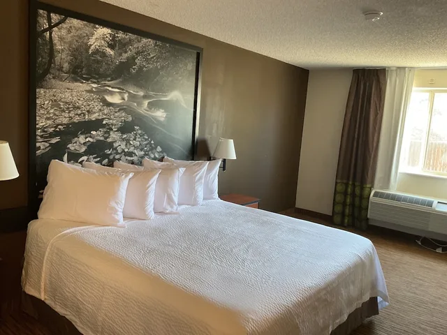 غرفة قياسية بسرير كينج، Super 8 by Wyndham Colorado Springs Airport 2/3