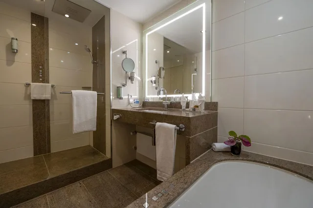 Junior Suite, Studio، Maritim Hotel Wurzburg 2/2