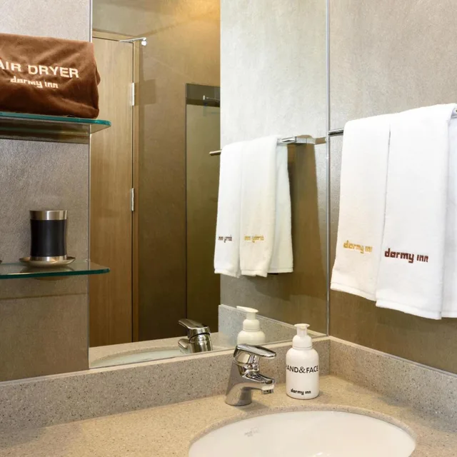Standard Single Room, DORMY INN SEOUL GANGNAM 3/3