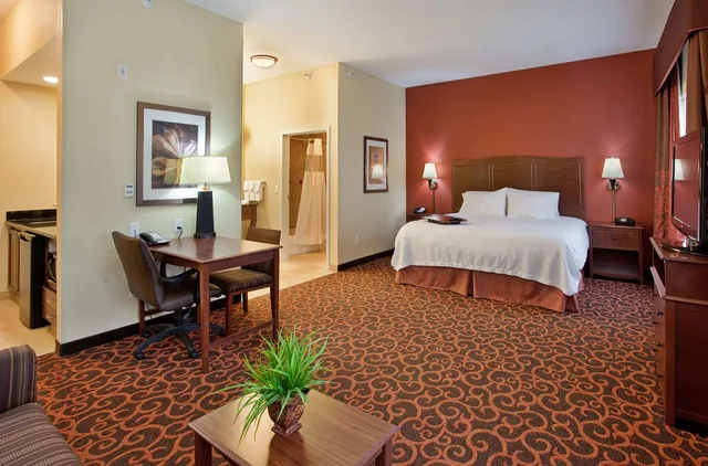 جناح استوديو بسرير كينج مع أريكة، Hampton Inn And Suites Aberdeen 4/4