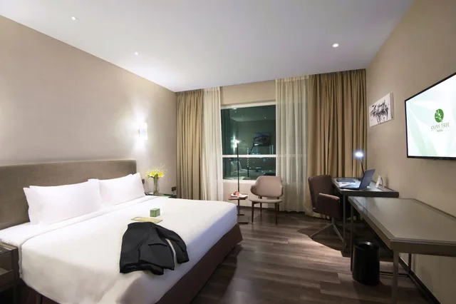 غرفة بريميير ديلوكس، Olive Tree Hotel 4/6