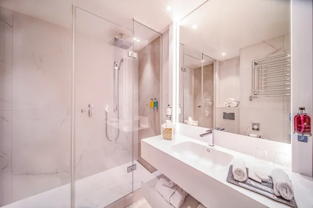 Unique Superior Single.، Hotel Bristol Geneva 4/5