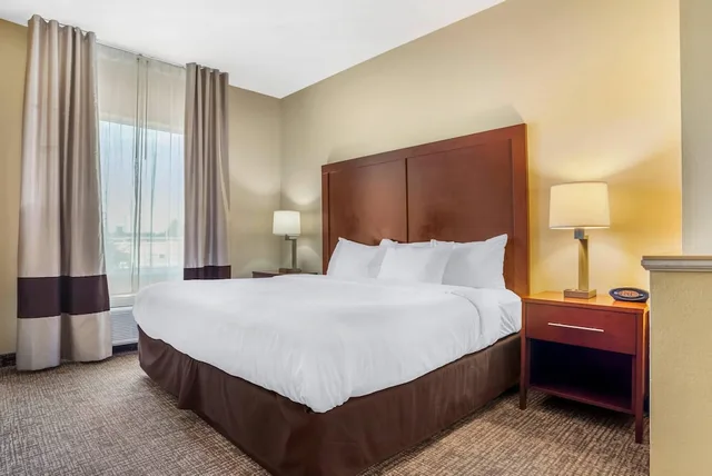 جناح بسرير كينج مع أريكة لذوي الإعاقة، Comfort Suites Montgomery East Monticello Dr 1/8